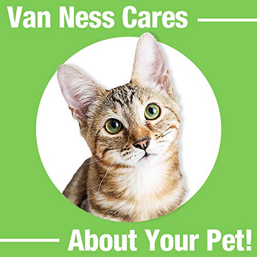 Van Ness Pets EcoWare Whisker-Friendly Cat Bowl, Wide Dish Cat Dish, 8 OZ, Fuschia