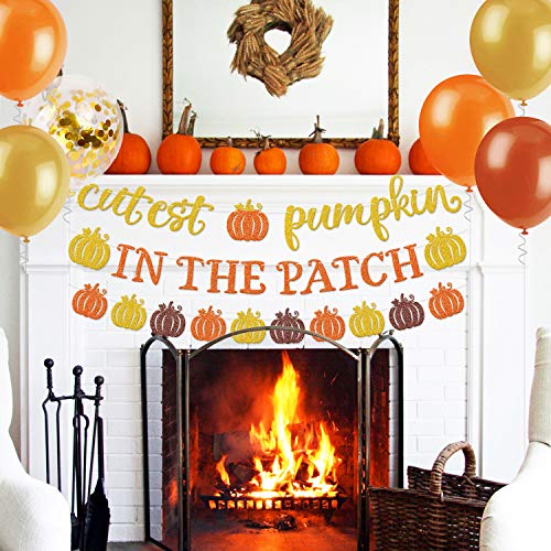 Pumpkin Party Decorations Cutest Pumpkin in the Patch Banner Little Pumpkin Baby Shower Decorations Cake Topper Fall Party Balloons for Fall Birthday Party Decorations Thanksgiving Party Supplies