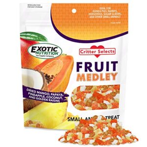 fruit medley treat - healthy natural dried fruit treat - sugar gliders, squirrels, chinchillas, prairie dogs, opossums, marmosets, monkeys, parrots, birds, rabbits, guinea pigs & small pets (4 oz.)