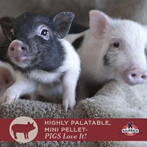 Kalmbach Feeds Squeals of Joy Mini Pig Food, 25 lb