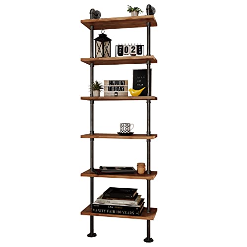 Industrial Pipe Bookshelves Rustic Wall Ladder Bookshelf Display Storage Stand Shelf Bookcase for Living Room, Kitchen, Office (6 Tier)