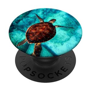 sea turtle blue & green ocean sea waters a sea creature gift popsockets popgrip: swappable grip for phones & tablets