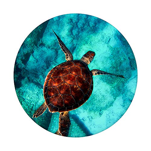 Sea Turtle Blue & Green Ocean Sea Waters a Sea Creature Gift PopSockets PopGrip: Swappable Grip for Phones & Tablets
