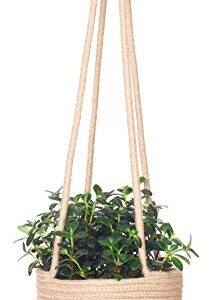 RUIZHIXUAN Hanging Planter Basket Jute Rope Woven Plant Hangers Indoor Hanging Plant Holder Up to 7" Pot Macrame Modern Storage Organizer Home Decor (Jute)