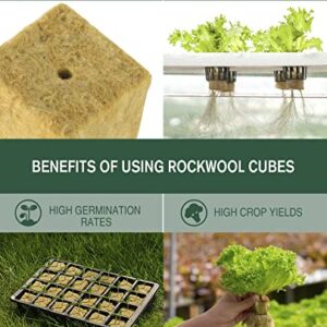 SKINNYBUNNY Rockwool Cubes 1 inch, Rock Wool Planting Cubes with Holes, Rockwool Cubes for Hydroponics, Perfect for Soilless Culture and Transplanting, 4 Sheets of 200 Cubes