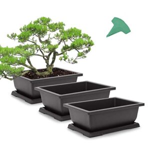 growneer 3 packs 11 inches bonsai training pots with 15 pcs plant labels, plastic bonsai plants growing pot for garden, yard, office, living room, balcony and more