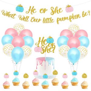 pumpkin gender reveal party decoration fall baby shower banner he or she cake cupcake topper pink blue balloons boy or girls sex announcement ideas favor supplies