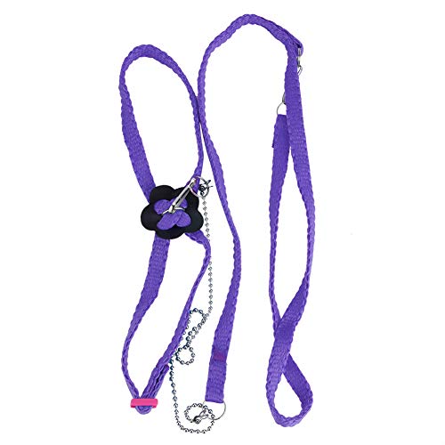 Birds Harness, 1.2M Purple Pet Bird Harness and Leash Adjustable Small Birds Harness Leash Adjustable Training Design Anti Bite Birds Belt Outdoor Flying Training Rope