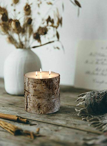 Serene Spaces Living Birch Bark Candle – Pillar Style Candle Brings Nature Indoors, Ideal for Weddings, Parties, Events, Restaurants, Home Decor, 6" in Diameter & 6" Tall