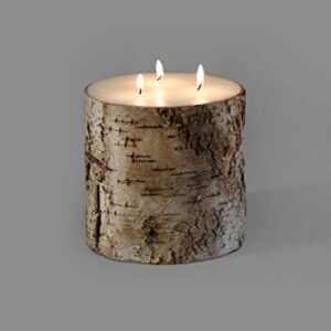 Serene Spaces Living Birch Bark Candle – Pillar Style Candle Brings Nature Indoors, Ideal for Weddings, Parties, Events, Restaurants, Home Decor, 6" in Diameter & 6" Tall