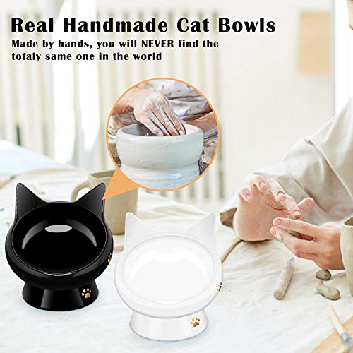 Raised Food Bowls Anti Vomiting,Tilted Elevated Ceramic Bowl for Flat-Faced Cats,Small Dogs,Protect Pet's Spine,Dishwasher Safe,Black and White, 2pcs