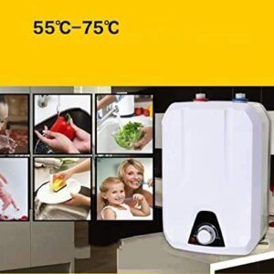 Electric Hot Water Heater, Fencia 110V 1500W 8L Electrical Hot Water Heater - Adjustable Temperature from 55℃-75℃ - Best for Kitchen, Rest Room, Household - Shipping From USA (Square)