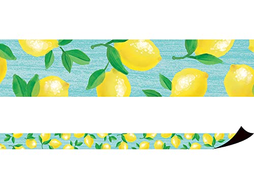 Teacher Created Resources Lemon Zest Magnetic Border (TCR77455)