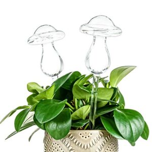 kingbuy self watering globes plant waterer device mushroom shape hand blown clear glass bulb for indoor outdoor plants, 4 pack