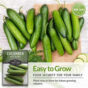 Survival Garden Seeds - Beit Alpha Cucumber Seed for Planting - Pack with Instructions to Plant and Grow Smooth Green Burpless Cucumbers in Your Home Vegetable Garden - Non-GMO Heirloom Variety