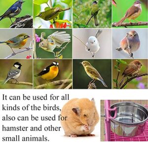 PINVNBY Bird Feeding Dish Cups Parrot Stainless Steel Food Water Dish Perch Stand Platform Feeder Cage Bowl with Clamp Holder for Cockatiel Budgies Parakeet Macaw Small Animal Chinchilla(5 Pack)