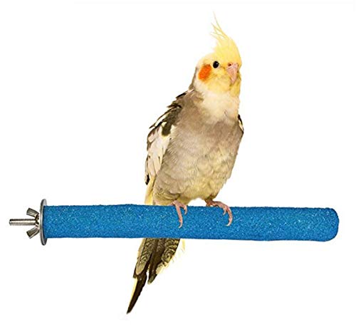 PINVNBY Bird Feeding Dish Cups Parrot Stainless Steel Food Water Dish Perch Stand Platform Feeder Cage Bowl with Clamp Holder for Cockatiel Budgies Parakeet Macaw Small Animal Chinchilla(5 Pack)