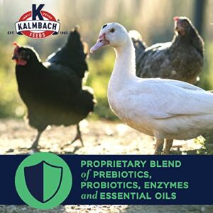 Kalmbach Feeds All Natural Non-GMO Flock Maintainer Pellets for Mixed Flocks of Poultry