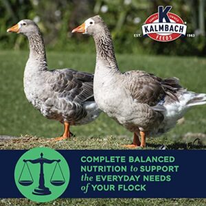 Kalmbach Feeds All Natural Non-GMO Flock Maintainer Pellets for Mixed Flocks of Poultry
