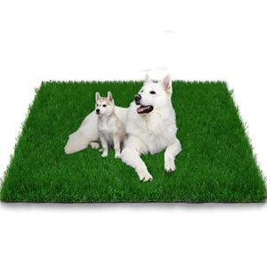 grass pad for dogs strong absorbency soft and real grass for pets potty training, easy to clean fake grass for dog indoor outdoor use(39.3 x 31.5 inches,1 pack)