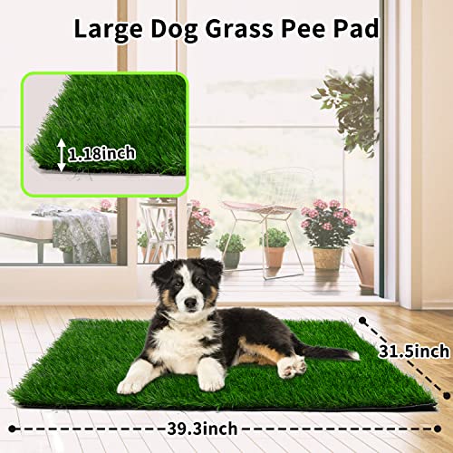 Grass Pad for Dogs Strong Absorbency Soft and Real Grass for Pets Potty Training, Easy to Clean Fake Grass for Dog Indoor Outdoor Use(39.3 x 31.5 inches,1 Pack)