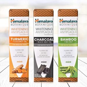 Himalaya Whitening Antiplaque Toothpaste with Turmeric + Coconut Oil for Brighter Teeth, 4 oz