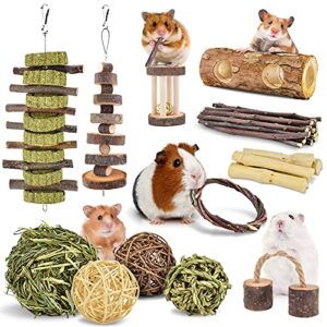 erkoon new 12 pack hamster chew toys gerbil rat guinea pig chinchilla chew toys accessories, natural wooden dumbbells exercise bell roller teeth care molar toy for rabbits bird rabbits hamster gerbil