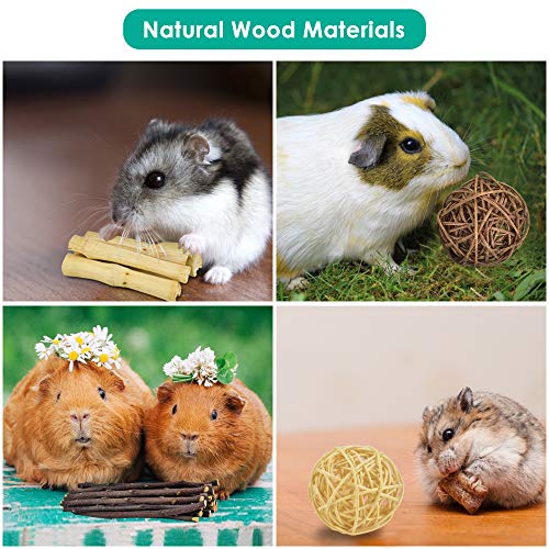 ERKOON New 12 Pack Hamster Chew Toys Gerbil Rat Guinea Pig Chinchilla Chew Toys Accessories, Natural Wooden Dumbbells Exercise Bell Roller Teeth Care Molar Toy for Rabbits Bird Rabbits Hamster Gerbil