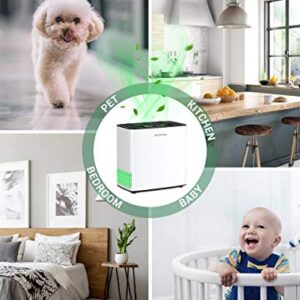 Elechomes P1801 Air Purifier for Dust Pollen Pets Hair Allergies Smokers, H13 True HEPA Filter, Auto Mode, Air Quality Sensor, 269ft², Desktop Air Purifier for Home, Bedroom, Living Room, White