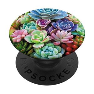 cute colorful succulent plants flower pattern popsockets swappable popgrip