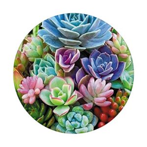 Cute colorful succulent plants flower pattern PopSockets Swappable PopGrip