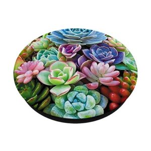 Cute colorful succulent plants flower pattern PopSockets Swappable PopGrip