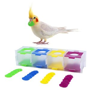 Litewoo Parrot Intelligence Training Toy Color Separation Coin Box Education Interactive Playing Puzzle Toy for Birds Parakeet Cockatiel Amazon Budgie Cockatoo Finch Conures Macaw