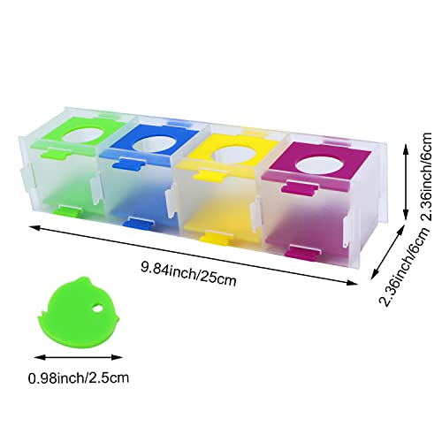 Litewoo Parrot Intelligence Training Toy Color Separation Coin Box Education Interactive Playing Puzzle Toy for Birds Parakeet Cockatiel Amazon Budgie Cockatoo Finch Conures Macaw