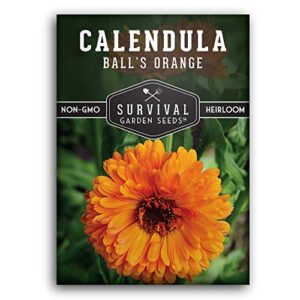 survival garden seeds - ball's orange calendula seed for planting - packet with instructions to plant and grow medicinal herb plants in your home vegetable garden - non-gmo heirloom variety