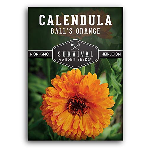 Survival Garden Seeds - Ball's Orange Calendula Seed for Planting - Packet with Instructions to Plant and Grow Medicinal Herb Plants in Your Home Vegetable Garden - Non-GMO Heirloom Variety