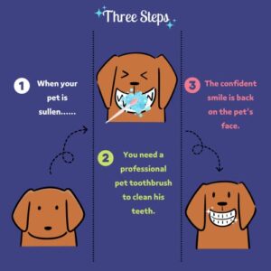 ANTOLL Pets Silicone Soft Head Dog cat with Toothbrush Dog cat Teeth Cleaning Health Care（4-Parks）