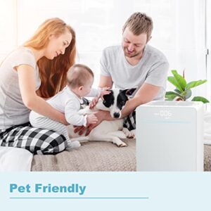 Hepa Air Purifiers for Home Large Room 1500 Sq.Ft, Hestom H13 whole Home Air Purifier, Quiet Room Air Filters for Pet, Auto Mode, Speed Control, Sleep Mode, AQI Display,White