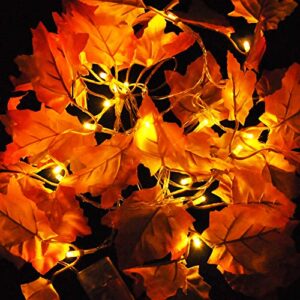 Joiedomi 2 Pack 14.7FT Thanksgiving Lights Fall Maple Leaves String Lights with 20 LED Warm White Lights for Autumn Garland, HomeThanksgiving Indoor Outdoor Decor