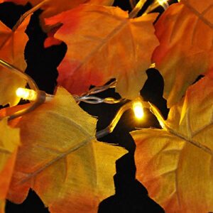 Joiedomi 2 Pack 14.7FT Thanksgiving Lights Fall Maple Leaves String Lights with 20 LED Warm White Lights for Autumn Garland, HomeThanksgiving Indoor Outdoor Decor