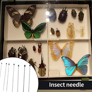 Fpxnb 350 Pcs Stainless Steel Insect Pins in 7 Sizes, Specimen Entomology Pins and Butterfly Collections Needle for School Lab Butterfly Collectors with Vials & Labels