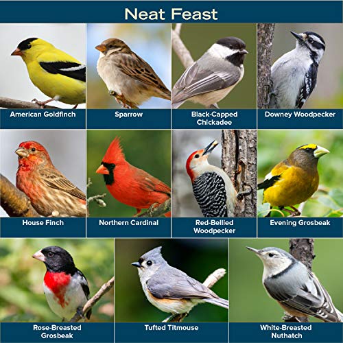Blue Seal Neat Feast Wild Bird Seed | Convenient Shell-Free Mix | Attracts Wide Variety of Birds | 20 Pound Bag