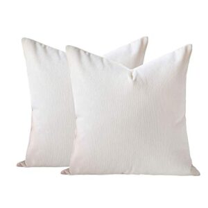 homey cozy 14x20 chenille indoor/outdoor accent pillow (set of 2), ivory 2 count
