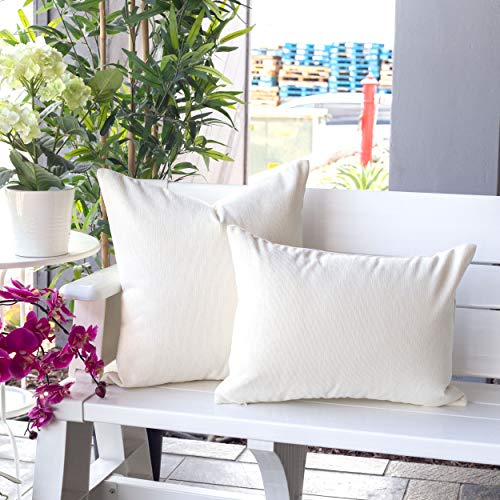 Homey COZY 14x20 Chenille Indoor/Outdoor Accent Pillow (Set of 2), Ivory 2 Count