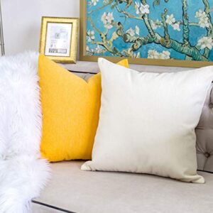 Homey COZY 14x20 Chenille Indoor/Outdoor Accent Pillow (Set of 2), Ivory 2 Count