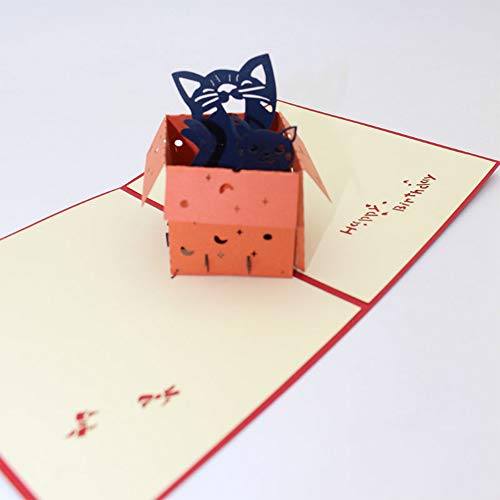 DUBRIX 3D Popup Greeting cards Pop Up Card with envelope Cat in the box for kids,girl friends The Perfect Handmade Gifts on Birthday