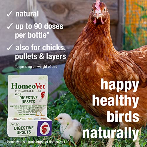 HomeoPet Avian Digestive Upsets, Healthy Digestive Support for Poultry and Pet Birds, 15 Milliliters