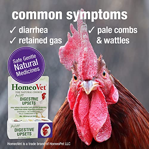 HomeoPet Avian Digestive Upsets, Healthy Digestive Support for Poultry and Pet Birds, 15 Milliliters