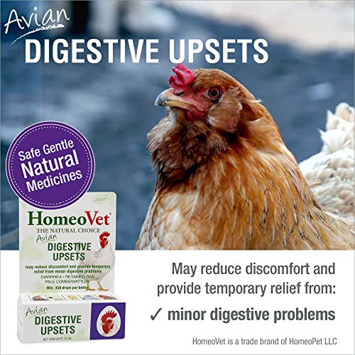 HomeoPet Avian Digestive Upsets, Healthy Digestive Support for Poultry and Pet Birds, 15 Milliliters