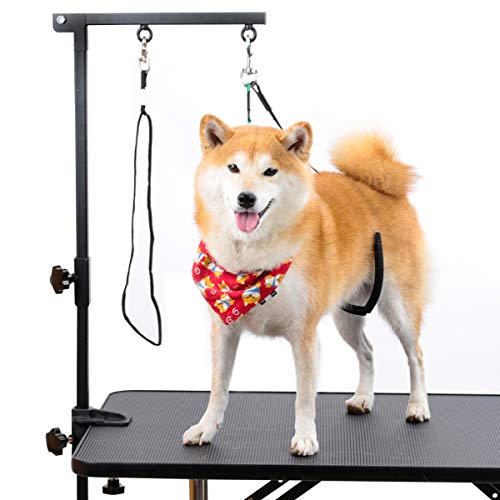 Breeze Touch Dog Grooming Table Arm - 35" Stand Arm with Clamp and Post, Loop Noose, No Sit Haunch Holder Grooming Restraint for Small & Medium Dogs